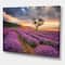 Designart - Sunrise & Dramatic Clouds Over Lavender Field VIII - Farmhouse Canvas Wall Art Print